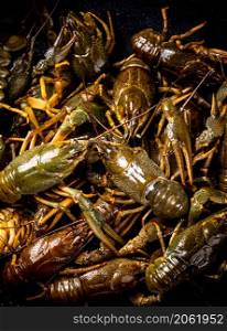 A bunch of fresh crayfish in a saucepan. Macro background. High quality photo. A bunch of fresh crayfish in a saucepan.