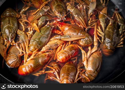 A bunch of fresh crayfish in a saucepan. Macro background. High quality photo. A bunch of fresh crayfish in a saucepan.