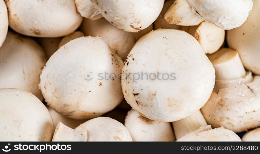 A bunch of fresh mushrooms. Macro background. High quality photo. A bunch of fresh mushrooms.