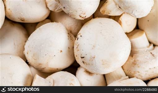 A bunch of fresh mushrooms. Macro background. High quality photo. A bunch of fresh mushrooms.