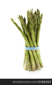 A bunch of green asparagus (isolated white)