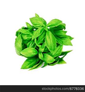 A bunch of green basil isolated on white background