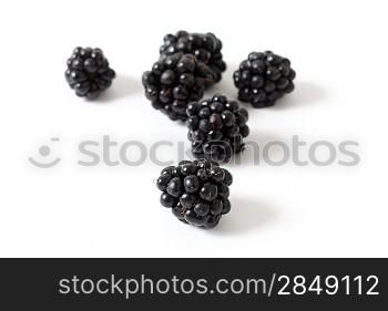 A bunch of healthy blackberries