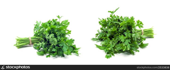 a bunch of parsley isolated on white