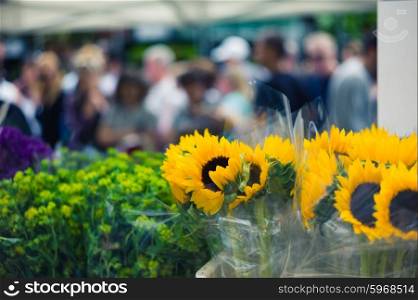 A bunch of sunflowers at a flower market with people in the background