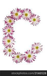A C Made Of Pink And White Daisies