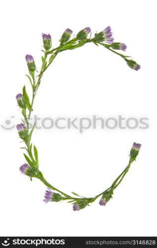 A C Made Of Purple Flowers