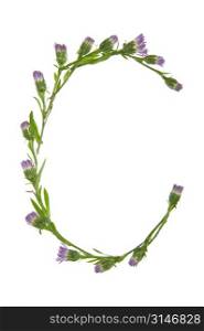 A C Made Of Purple Flowers