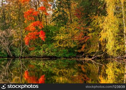 A calm beautiful lake with a reflection in the water of colorful trees, an autumn landscape in the park