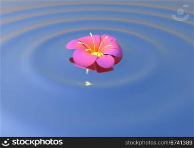 A calm scene of a flower floating on water