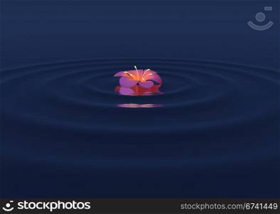 A calm scene of a flower floating on water