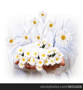 A camomile flower and human hands illustration
