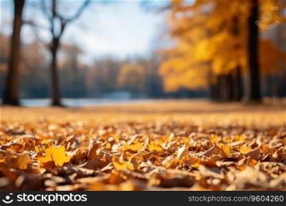 A carpet of beautiful yellow and orange fallen leaves against a blurred natural park