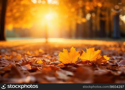 A carpet of beautiful yellow and orange fallen leaves against a blurred natural park