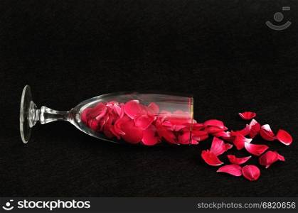 A champagne glass filled with rose petals