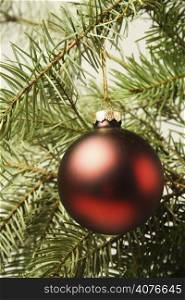 A christmas ornament hanging on a christmas tree