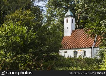 A church hidden among the trees of a forest