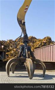 A claw, attatched to a huge crane in front of a scrap heap