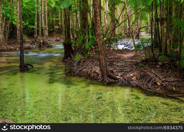 A clean river flowing in the jungle of Thailand in Krabi province