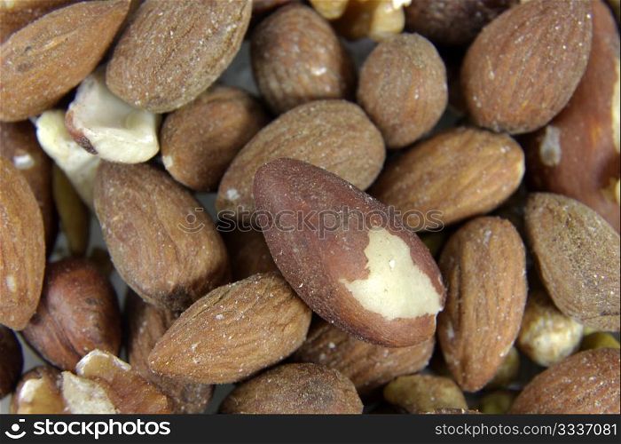 A close-up of mixed nuts, featuring walnuts, almonds, hazelnuts, and brazil nuts.. Brazil Nut and Other