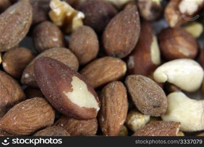 A close-up of mixed nuts, featuring walnuts, almonds, hazelnuts, and brazil nuts.. Nut Mixture