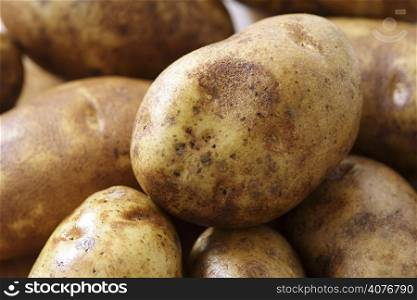 A close up of potatoes