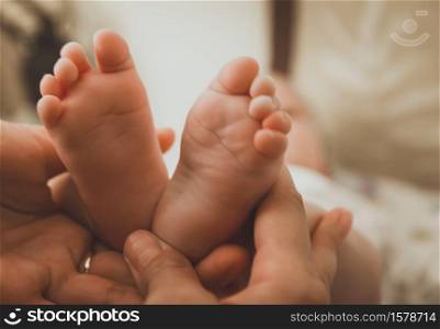 A close-up of tiny baby feet. Newborn Baby legs on the mothers hands