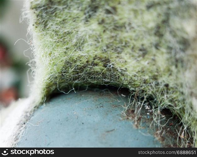a close up on a ripped tennis ball fur with hairy texture and detail old and broken isolation