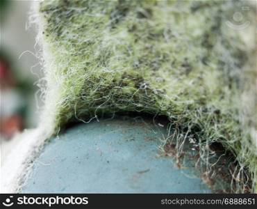 a close up on a ripped tennis ball fur with hairy texture and detail old and broken isolation