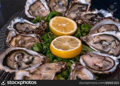A close-up view of a dozen fresh Carlingford oysters and lemon halves on lettuce