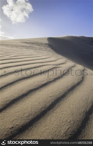 A close up view of textured beach sand on a dune as the wind blows the sand over the edge of the dune.