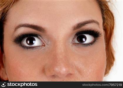 A closeup picture of the face and eye&rsquo;s of a young beautiful woman,isolated for white background.