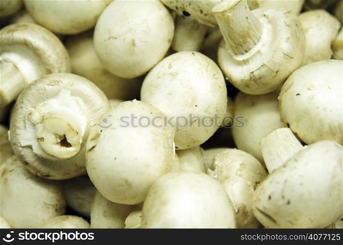 A closeup shot of a bunch of fresh button mushrooms