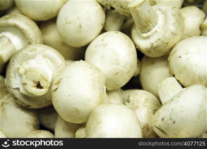 A closeup shot of a bunch of fresh button mushrooms