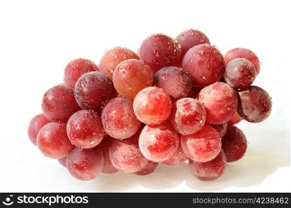 A cluster of ripe purple grapes on a white background