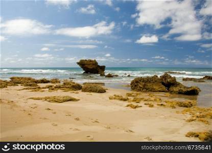 A coastal scene, Southern Victoria, Australia