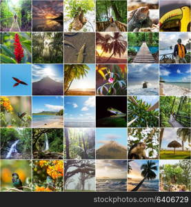 A collage of diverse landscape and animal images of Costa Rica.