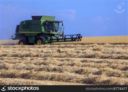 A combine harvester working in a field of wheat in North Yorkshire in the United Kingdom.