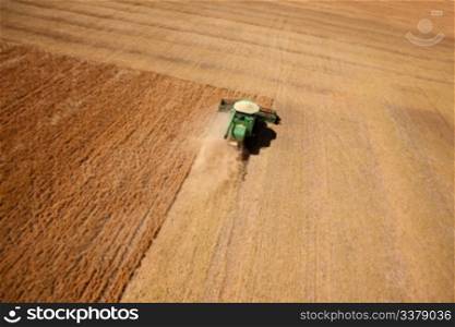 A combine harvesting a field of lentils on the prairie
