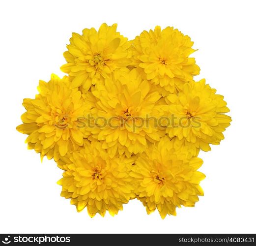 A composition in the form of a flower of yellow flowers isolated