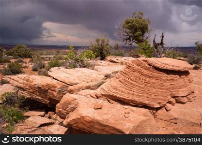 A compostion of rock outcroppings and trees before it rains in the Utah Wilds