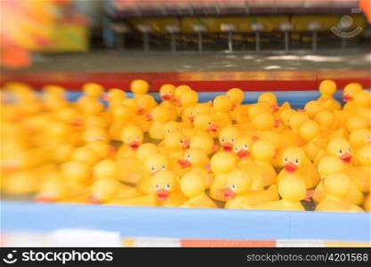 A Confluence of Rubber Ducks at a Fair