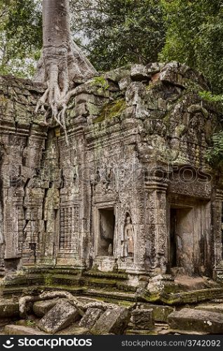 A corner building in the Ta Prohm temple near Angkor Wat shows destructive cracks spreading from the roots of a large spung tree growing from the roof.&#xA;