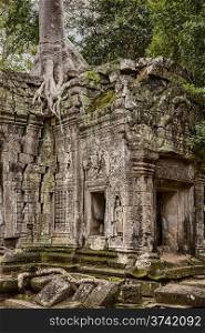 A corner building in the Ta Prohm temple near Angkor Wat shows destructive cracks spreading from the roots of a large spung tree growing from the roof.&#xA;