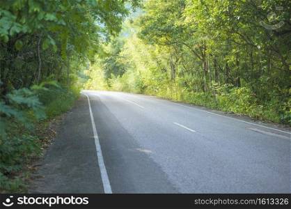 A country road along with nature, holiday and travel concept . . country road along with nature, holiday and travel concept . 