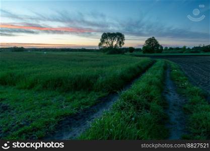 A country road and a green field, an evening spring view