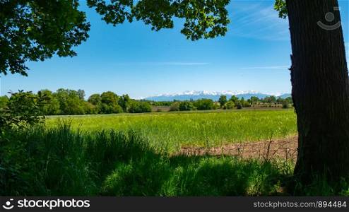 a countryside landscape with Pyrenees mountain range in the background