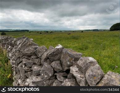 A countryside scene with a stone wall and cows in a field in the Peak District.