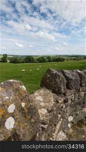 A countryside scene with a stone wall and sheep in a field, near Bakewell, Derbyshire