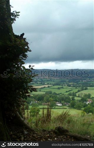 A countryside view - Devon